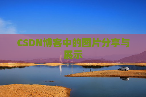 CSDN博客中的图片分享与展示